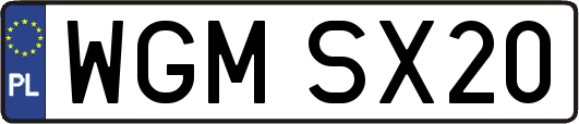 WGMSX20