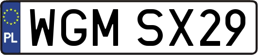 WGMSX29