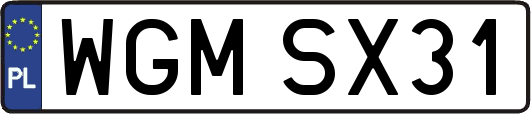 WGMSX31
