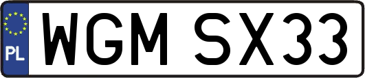 WGMSX33