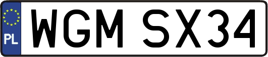 WGMSX34