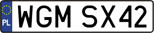 WGMSX42