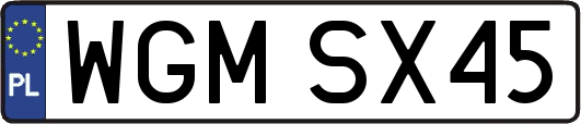 WGMSX45