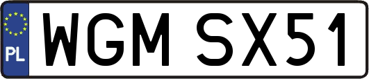 WGMSX51