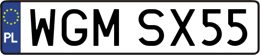WGMSX55