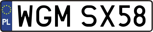 WGMSX58