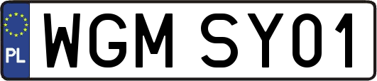 WGMSY01
