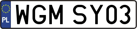 WGMSY03