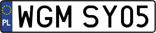 WGMSY05