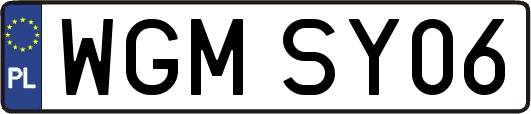 WGMSY06
