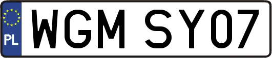 WGMSY07