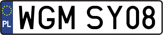 WGMSY08