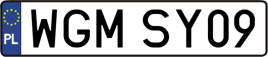 WGMSY09