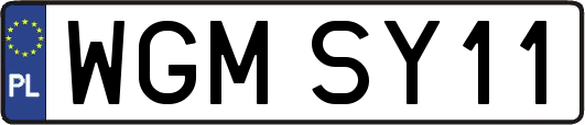 WGMSY11