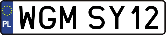 WGMSY12