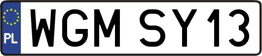 WGMSY13