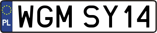 WGMSY14