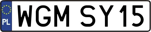 WGMSY15