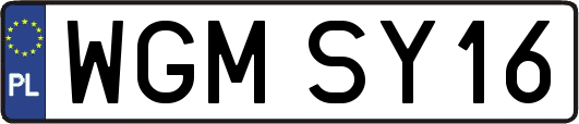 WGMSY16