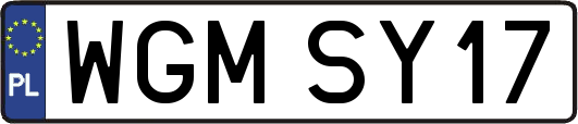 WGMSY17