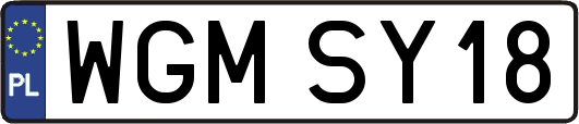 WGMSY18