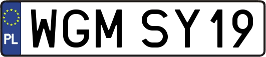 WGMSY19