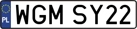 WGMSY22