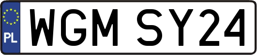 WGMSY24