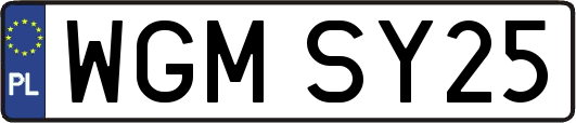 WGMSY25