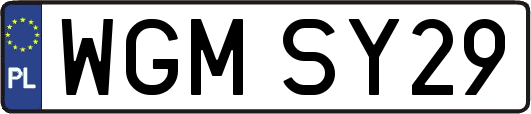 WGMSY29