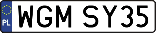 WGMSY35