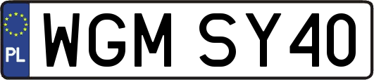 WGMSY40