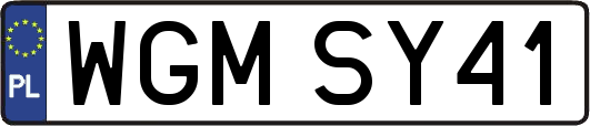 WGMSY41