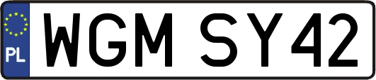 WGMSY42