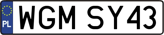 WGMSY43