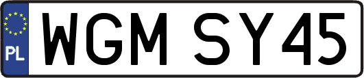 WGMSY45
