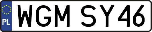 WGMSY46