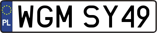 WGMSY49
