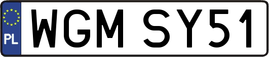 WGMSY51