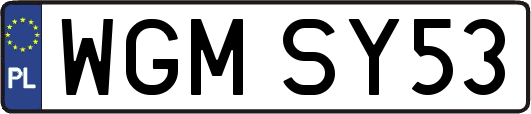 WGMSY53