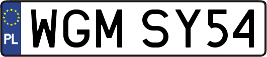WGMSY54