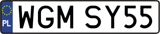 WGMSY55