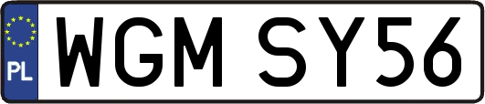 WGMSY56