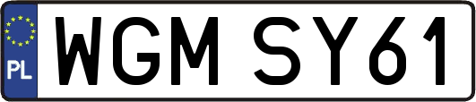 WGMSY61