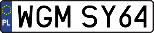 WGMSY64
