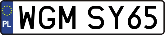 WGMSY65