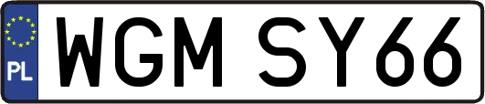 WGMSY66
