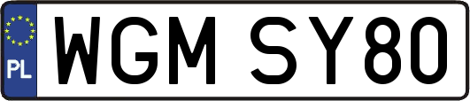 WGMSY80