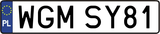 WGMSY81