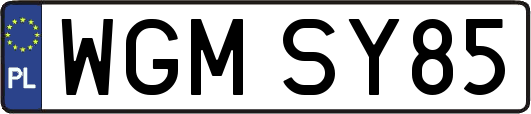 WGMSY85
